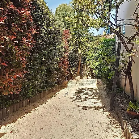 Family L'hippocampe *